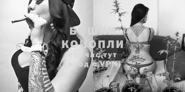 шишки Медногорск