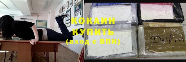 шишки Медногорск