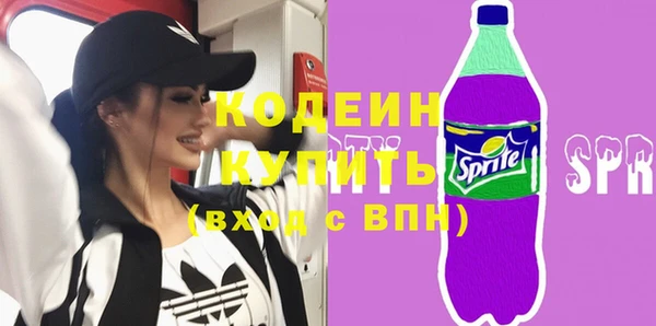 шишки Медногорск