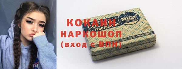 шишки Медногорск