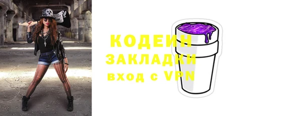 шишки Медногорск