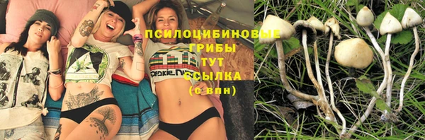 марки nbome Медвежьегорск