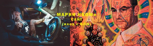 шишки Медногорск