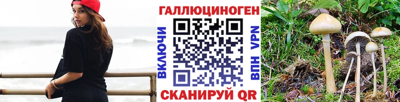 Купить где  Нижнеудинск  Галлюциногенные грибы Cubensis 