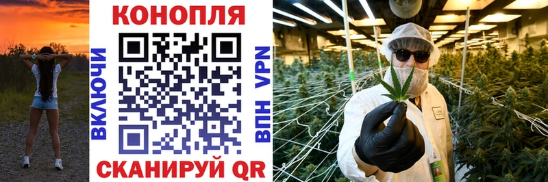 Бошки марихуана Amnesia  Купить где  Нижнеудинск 